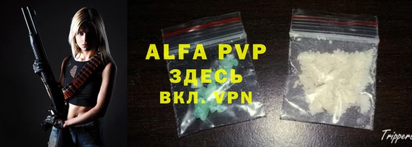 прущие крисы Ельня