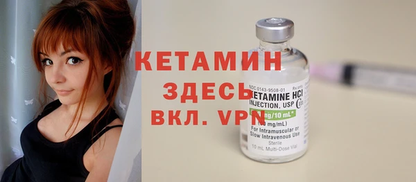 прущие крисы Ельня