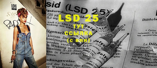 прущие крисы Ельня