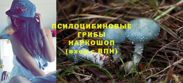 прущие крисы Ельня