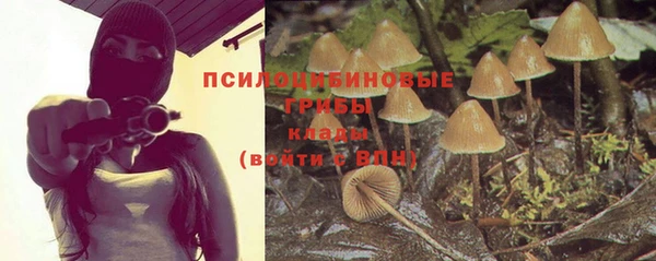 прущая мука Елабуга