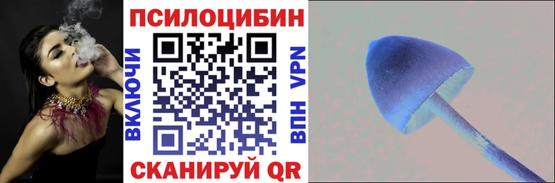 Купить  Железногорск  Псилоцибиновые грибы Psilocybe 