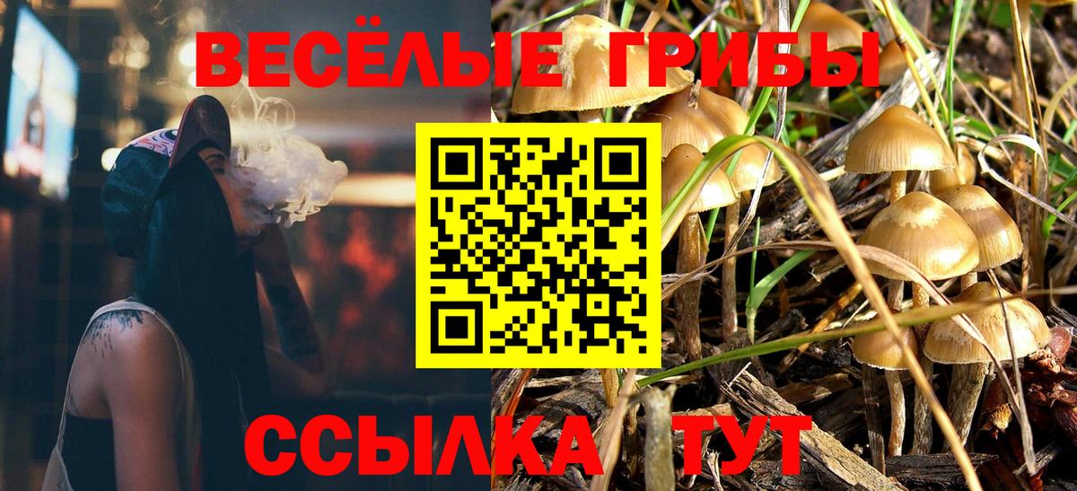 Псилоцибиновые грибы MAGIC MUSHROOMS  Галлюциногенные грибы мухоморы  Вход с VPN  Железногорск 