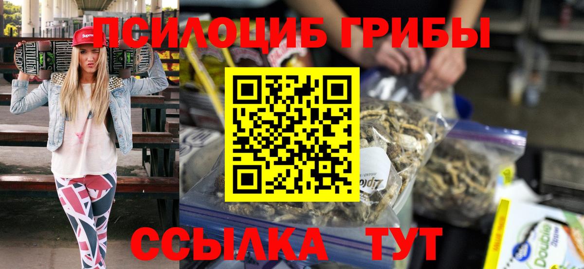 Псилоцибиновые грибы Cubensis  Железногорск 