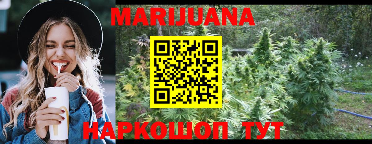 Марихуана White Widow  Каннабис гибрид  Каннабис план  Железногорск 